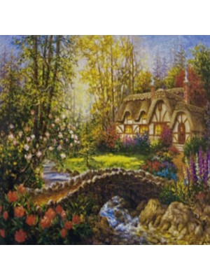 Elegantshop 5d Yapışan Boncuk Mozaik Tablo 40*50 cm S15