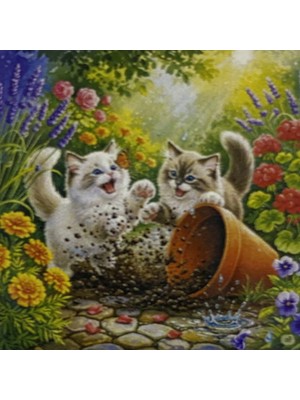 Elegantshop 5d Yapışan Boncuk Mozaik Tablo 40*50 cm S9