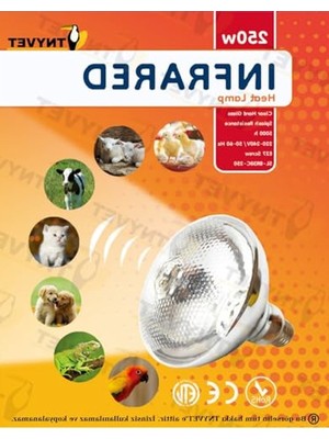 Die Grup Şeffaf Infrared Isıtıcı Lamba, 250 Watt Güç, Çift Amaçlı