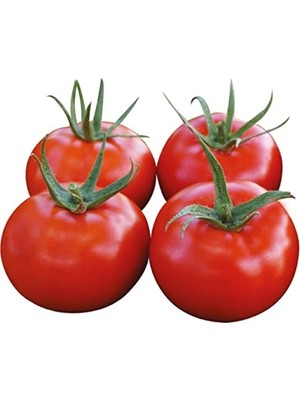 Die Grup Domates Nur Tohumu - 10 gr
