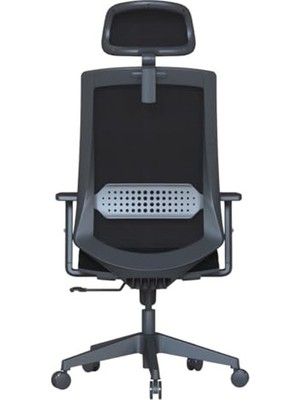 Die Grup Ergonomik Fileli Ofis Çalışma Koltuğu, Ayarlanabilir Başlık ve Bel Desteği