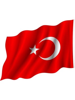 Die Grup 120X180CM Alpaka Kumaş Türk Bayrağı, Dış Mekan ve Iç Mekan Için