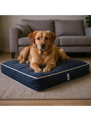Die Grup Lüks Dayanıklı Şönil Kumaş Visco Dolgulu Çift Taraflı ve Fermuarlı Yıkanabilir Köpek Yatağı(Fşönilmavi) (Medium)