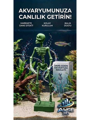 Alse 3D Alse Dans Eden Akvaryum Iskeleti 2'li Set - Akvaryumunuzda Ikili Eğlence!