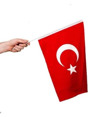 Die Grup Sopalı Türk Bayrağı 20X30 cm Alpaka Kumaş