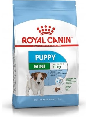 Die Grup Pugalo Airmove Premium Kedi Köpek Taşıma Çantası, Silinebilir, Yırtılmaz Fileli, Bükülmez Gövde, Sırt Çantası Tipi (Gri)