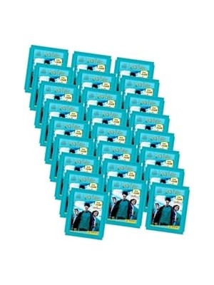 Die Grup Harry Potter Hogwarts'ta 1 Yıl Sticker Seti 25LI Paket (25'li Paket= 100 Stciker+ 25 Kart) KBESTHARRY25