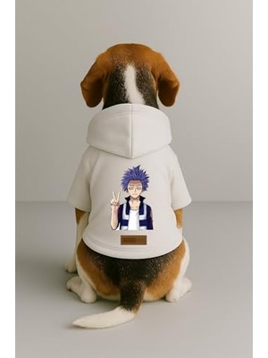Die Grup Baskılı Içi Polarlı Köpek ve Kedi Kıyafeti & Elbisesi - Turuncu Renk Kapüşonlu Hoodie B6C1B, M