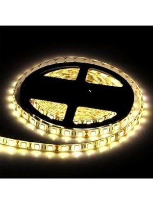 Die Grup Şerit LED Iç Mekan 10 Çipli Günışığı CT-4481