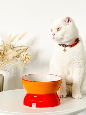 Die Grup Atelyu Köpek ve Kedi Kıyafeti Kot Ceket (Large)