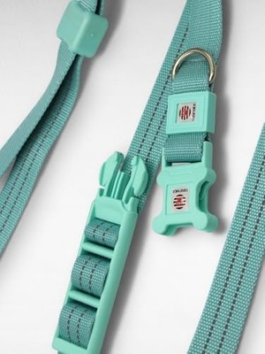 Die Grup Dr. Premium Sığır Etli Çubuk Tahılsız Köpek Ödülü 5" 11-13 gr 10'lu