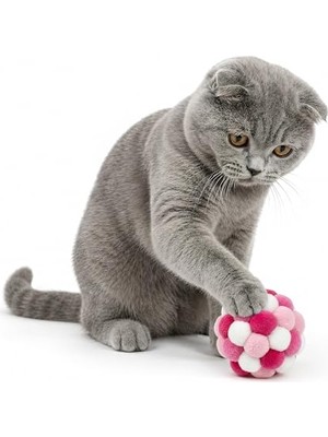 Die Grup Cama Yapışan Kedi Yatağı
