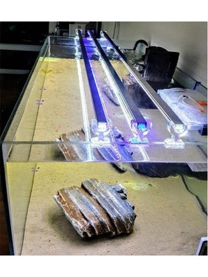 Die Grup Reptology Shale Scape Step Ledge & Cave Hideout – Akvaryumlar ve Teraryumlar Için Dekoratif Reçine – Sürüngenler, Amfibiler ve Balıklar Için Harika – Ekstra Büyük