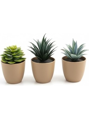 Die Grup Üçlü Mini Yapay Sukulent Seti – 8 cm Saksı, Dekoratif Küçük Bitki Seti, Gerçekçi Görünüm, Salon Ofis Ev Masa Üstü Süs Bitkisi, Bakım Gerektirmez, Modern Dekor