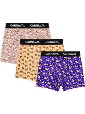 Carnaval Socks Carnaval Wild Orbit Erkek Boxer 3’lü Set