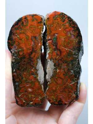 Healcrystal Alev Kırmızısı, Hardal Sarısı, Zeytin Yeşili Nakışlı Karadeniz Deniz Yosunu Ağat Çifti, 333G