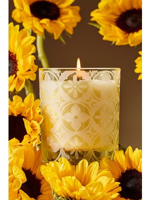 Anthropologie Hotel Bon Séjour Sunflower & Bergamot Cam Kavanoz Mum 40 Saat