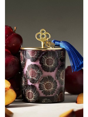 Anthropologie Amelie Vanilla & Dark Plum Kapaklı Cam Mum 50 Saat