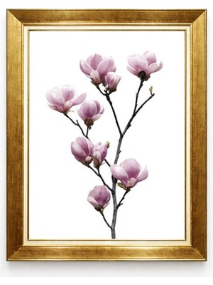 Tablore Gold Çerçeveli Pembe Manolya Çiçeği Botanik Duvar Tablosu Minimalist Yatak Odası Tablosu