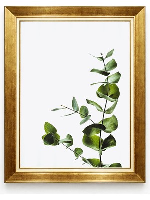 Tablore Minimalist Yeşil Okaliptüs Yaprağı Altın Çerçeveli Kanvas Tablo Botanik Duvar Tablosu