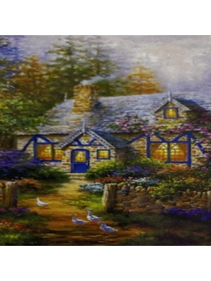 Elegantshop 5d Yapışan Boncuk Mozaik Tablo 40*50 cm S25