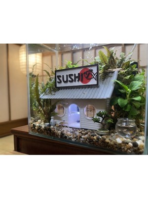 Baydıoğlu Grup Akvaryum Içi Sushi Dekor