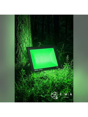 Ema Dükkan 100W LED Projektör Yeşil Işık IP66 Ince Tablet Kasa 220V Dış Mekan