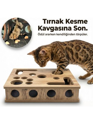 Canlı Saksı Kedikür™ – Tırnak Törpüleyen Tırmalama ve Oyun Kutusu