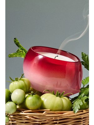 Anthropologie Fresh Off The Vine Turp Figürlü Cam Mum 20 Saat