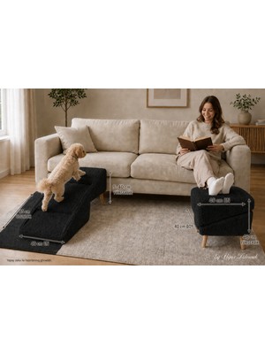 arge demo Merdivenli Kedi,köpek Rampası Puf Olabilen 2 Fonksiyonlu
