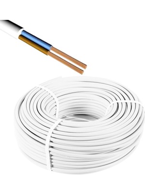 TeknoKapsül Toros Kablo Ttr 2 x 2.5mm² Cca Kablo H05 W-F 100MT