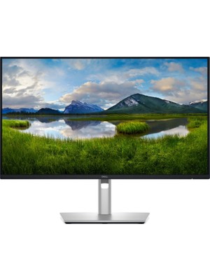 1001 Pro Plus P2425D 23.8 Inç 100Hz Wqhd IPS Monitör Siyah