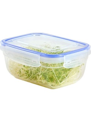 Tuğraçelik Dünya DP-30112-102 Dikdörtgen Saklama Kabı 800 ml - Contalı Sızdırmaz Şeffaf Beyaz- 12'li Paket