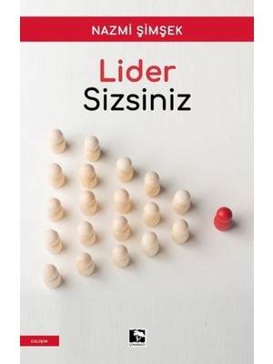 Lider Sizsiniz