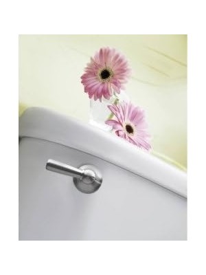 TeknoKapsül (Brushed Nickel) - Moen DN6801BN Sage Inspirations Toilet Tank Lever, Brushed Nickel