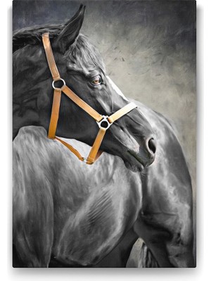 TeknoKapsül Siyah At Tablosu - 80X125CM
