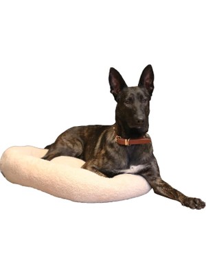 TeknoKapsül Chips Serisi Kedi ve Köpek Yatağı 70X70 cm