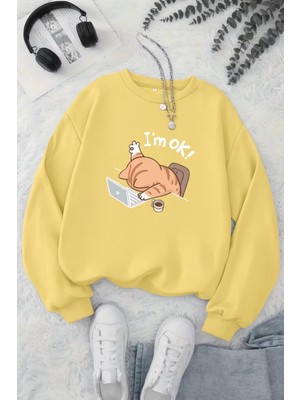 Oksit Bs Yorgun Kedi Baskılı Bisiklet Yaka Unisex Iki Iplik Şardonlu Sweatshirt