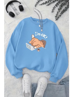 Oksit Bs Yorgun Kedi Baskılı Bisiklet Yaka Unisex Iki Iplik Şardonlu Sweatshirt