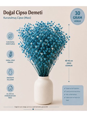 Rosess Şoklanmış Cipso Çiçeği Demeti | Kurutulmuş Cipso | Doğal Kuru Çiçek - Aranjman | Dekor | Süs