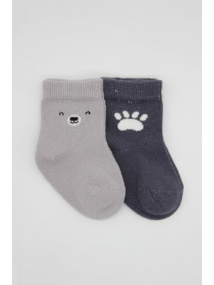NW NessiWorld Nessiworld Bear Penye Soket Çorap 2'li BS10116 Gri