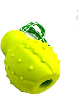 Hype Store Tasma Market Zilli Ipli Diş Tartar Temizleme Köpek Eğitim Oyuncağı Yeşil