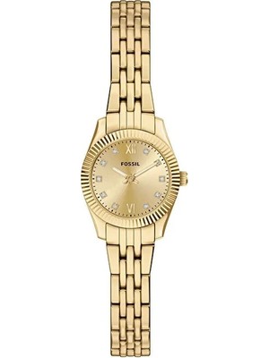 Fossil FES5474 Kadın Kol Saati