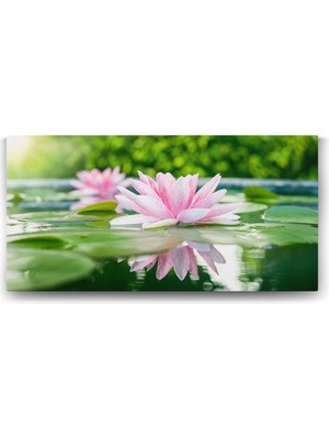 TeknoKapsül Tabloshop Soft Nilüfer Çiçekleri Panorama Tablo - 160X80CM