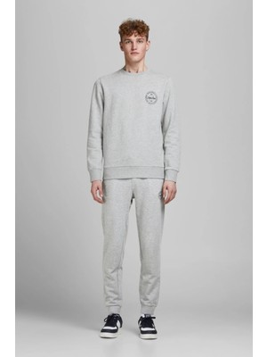 Jack & Jones Erkek Eşofman Altı 63412165322 Gri