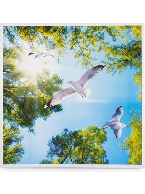 Sunex 60*60 Pvc Asma Tavan Doğa Desen 20 Ad. Panel