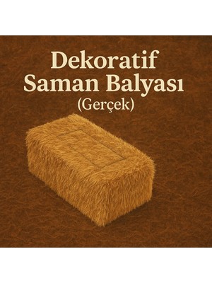 St. Morritz Saman Balyası Dekoratif (Gerçek) 100X35 cm