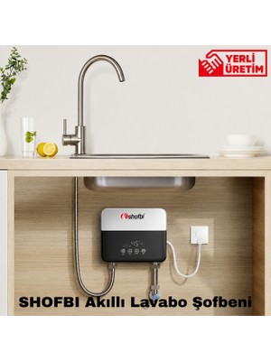 Sıcak Musluk Shofbi Akıllı Lavabo Şofbeni Sh-4s Gümüş Gri