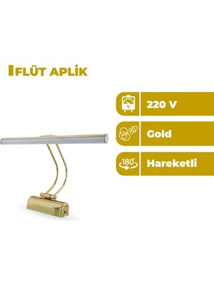 Zeyrise 6W Gold Resim Aplik 6500K Beyaz Işık