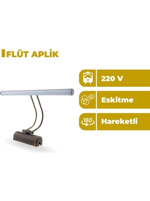 Zeyrise 6W Eskitme Resim Aplik 6500K Beyaz Işık